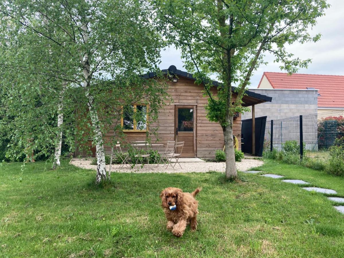 Chalet Proche Orleans Centre Saint-Jean-le-Blanc Kültér fotó