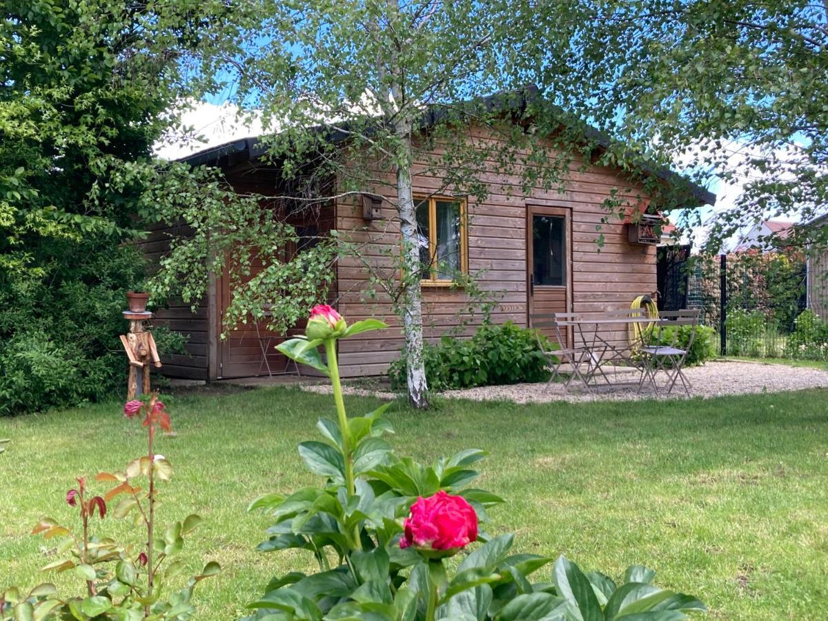 Chalet Proche Orleans Centre Saint-Jean-le-Blanc Kültér fotó